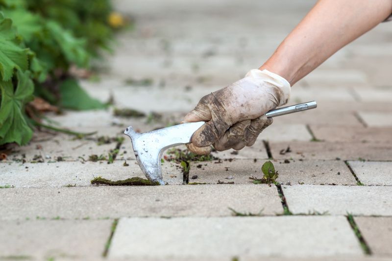 Seasonal Pavers Care